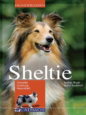 cover image of Sheltie